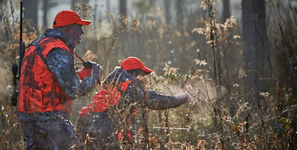 Deer hunting avoiding detection Deer hunting avoiding detection
