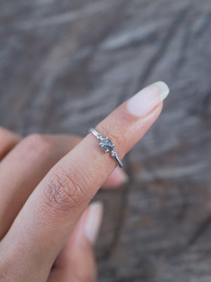 Salt and Pepper Diamond Ring in Silver - Gardens of the Sun | Ethical Jewelry